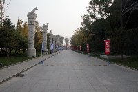 完美彩旗迎风飘扬