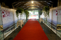 红地毯鲜艳夺目