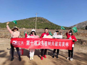 植树风采