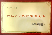 武昌区五四红旗团支部